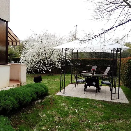 Apartmani Irena Arvaj Porec Exterior photo