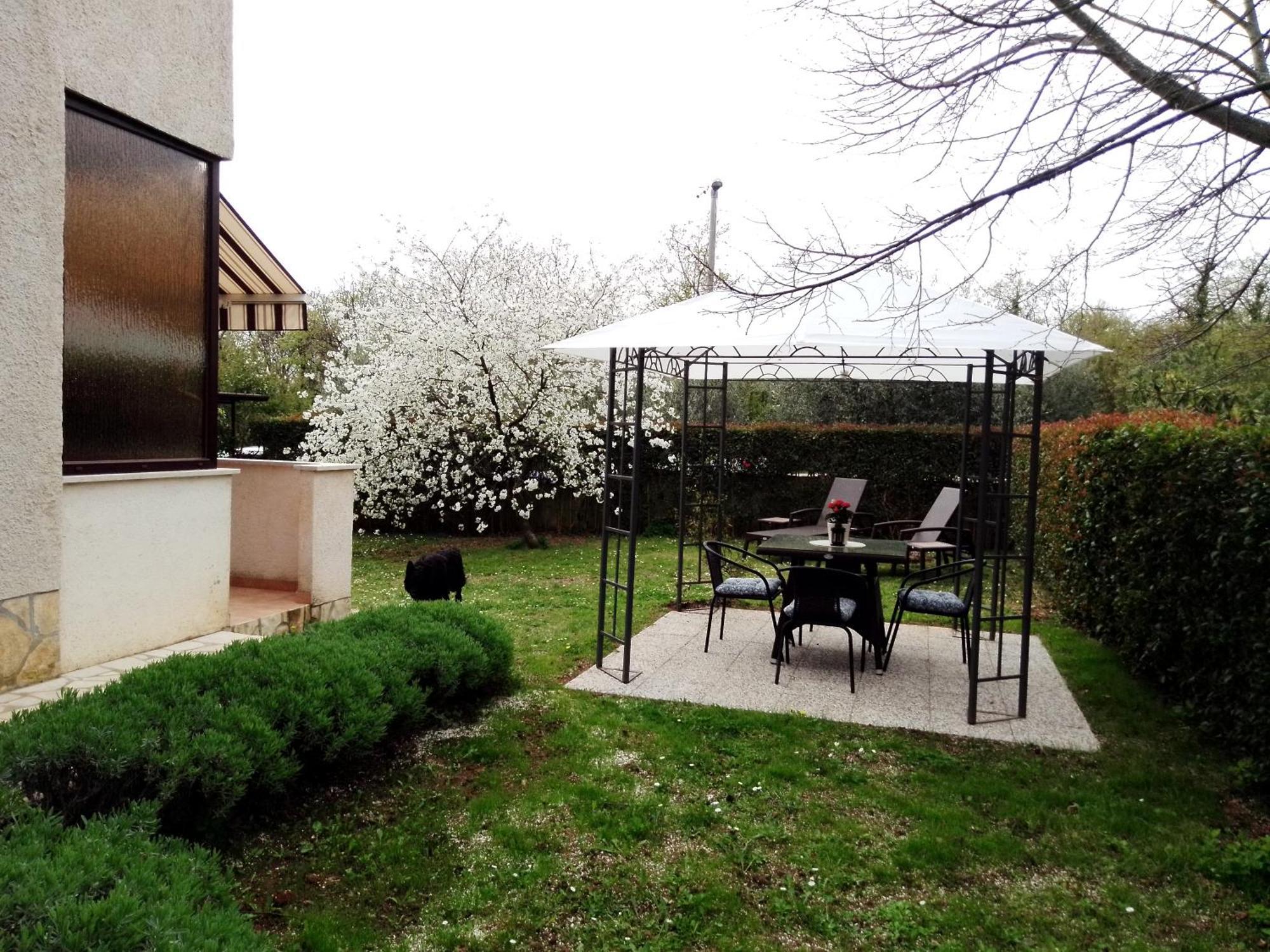 Irena Arvaj Apartment